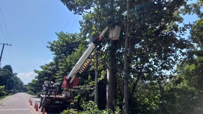 Mantenimientos en redes eléctricas de El Salado