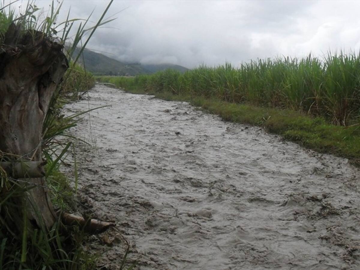 Alerta por crecimiento de los ríos Guachicono y Mazamorras en Cauca