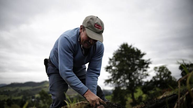 ANA JARAMILLO SOBRE CUMBRE DE CUMBRE DE JÓVENES POR LA AGRICULTURA