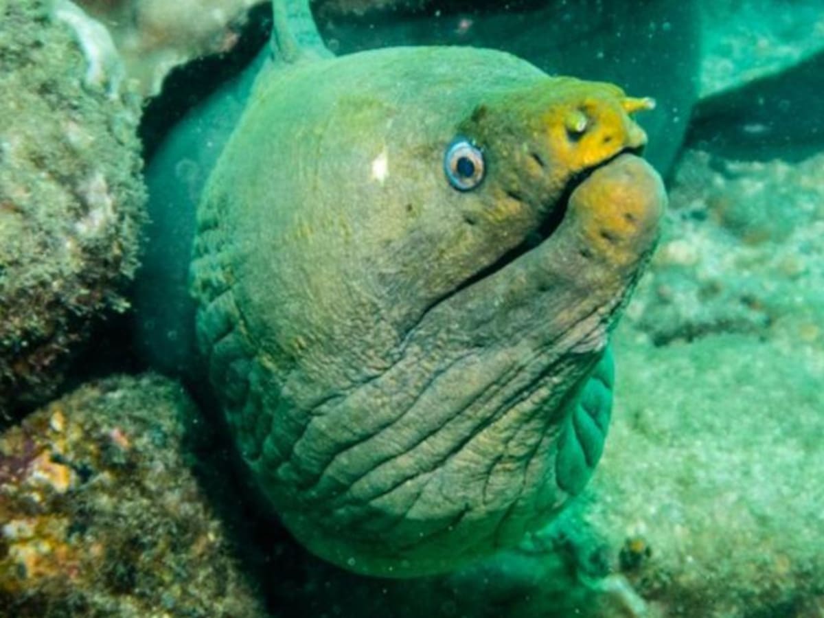 Reflexiones sobre el documental ‘Expedición Tribugá’