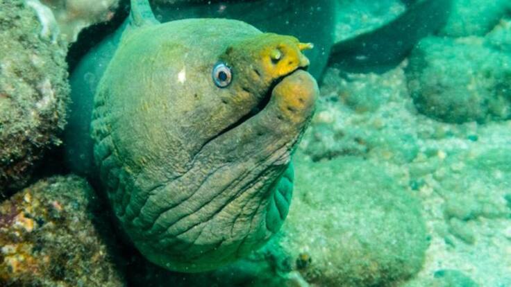 Reflexiones sobre el documental ‘Expedición Tribugá’