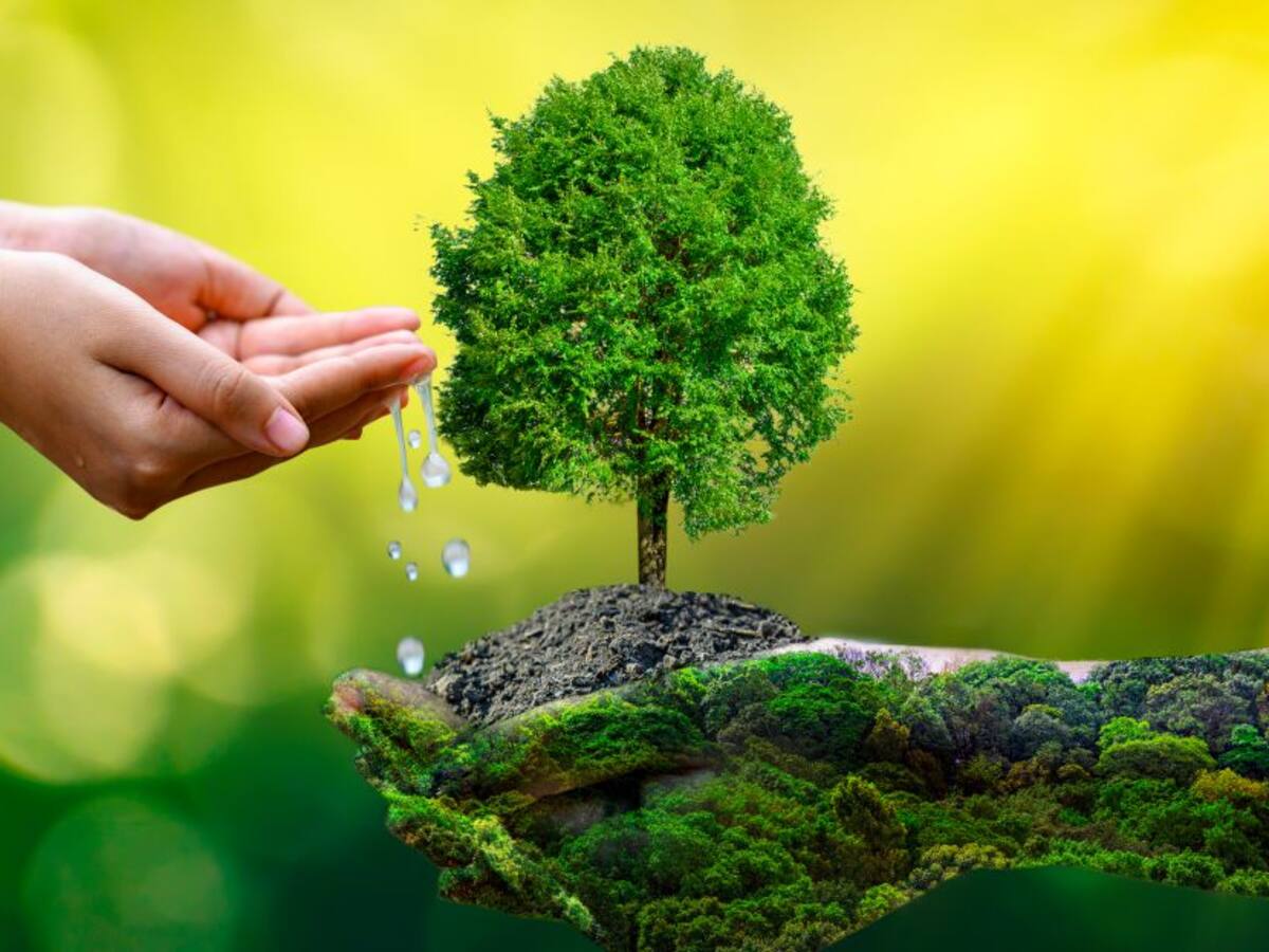 ONU: Día de la Tierra y la búsqueda por una economía más sostenible