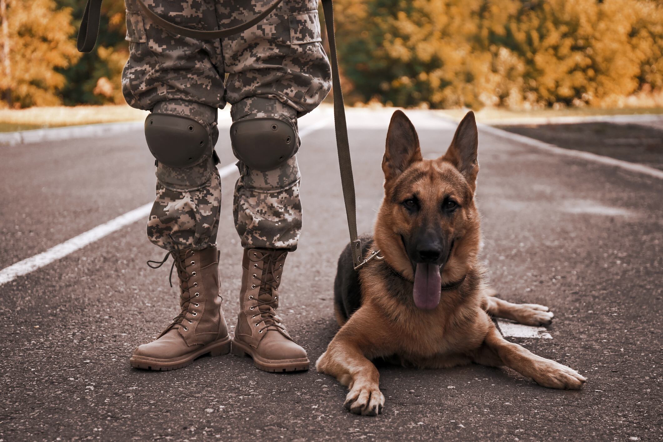 Militar y perro de servicio - Getty Images