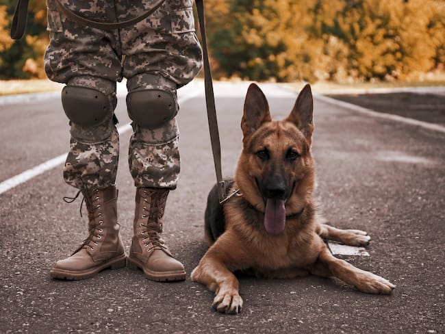 Militar y perro de servicio - Getty Images