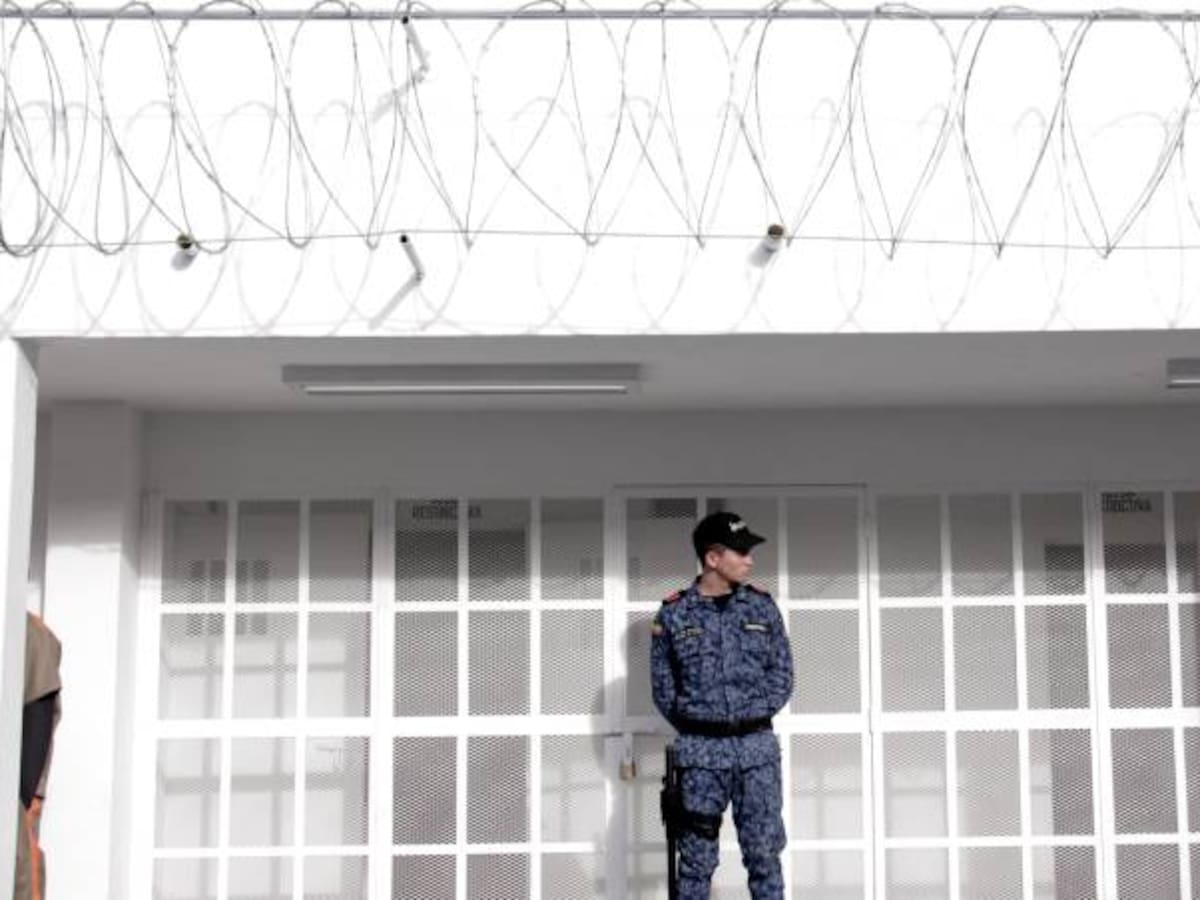 Afirman que si los delincuentes quedan en libertad es culpa del sistema