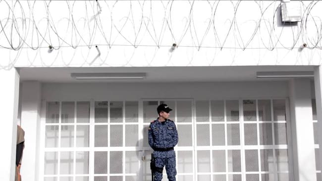 Imagen de referencia.