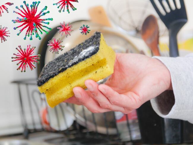 Esponja de lavar platos - bacterias/gettyimages