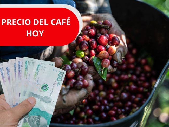 Imagen de referencia, foto Gettyimages y Canva.