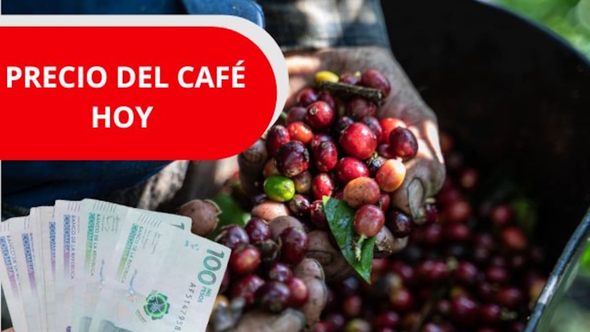 Precio del café en Colombia HOY 10 de junio según la FNC: Leve alza en las cotizaciones