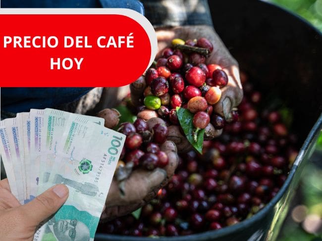 Imagen de referencia, foto Gettyimages y Canva.