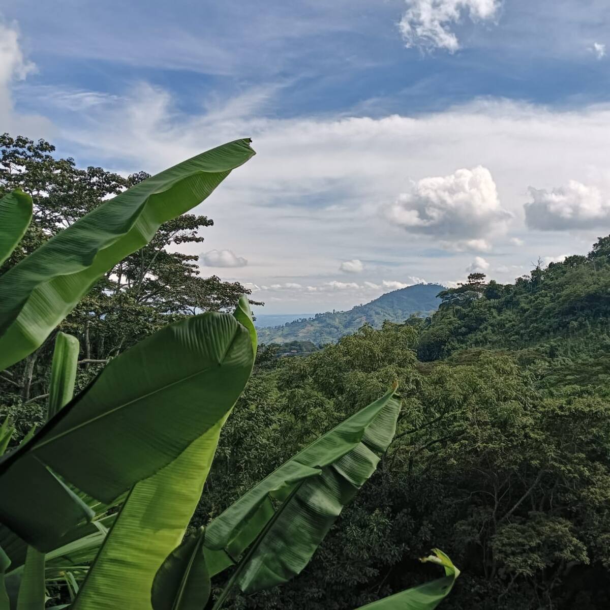 Miércoles 16 de julio, las noticias más importantes de Armenia y Quindío