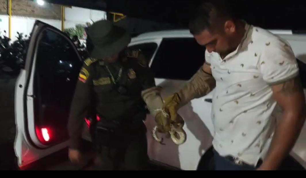 La Policía Nacional hace la invitación a la ciudadanía para que denuncie cualquier hecho que atente contra la flora y fauna de nuestra región, informando a través de la línea 3102068944 del grupo de Protección Ambiental y Recursos Naturales.