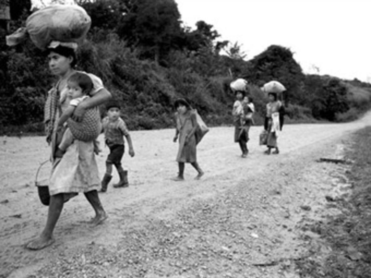 Más de mil familias desplazadas en la Guajira tienen ya su propio negocio afirmó Acción Social