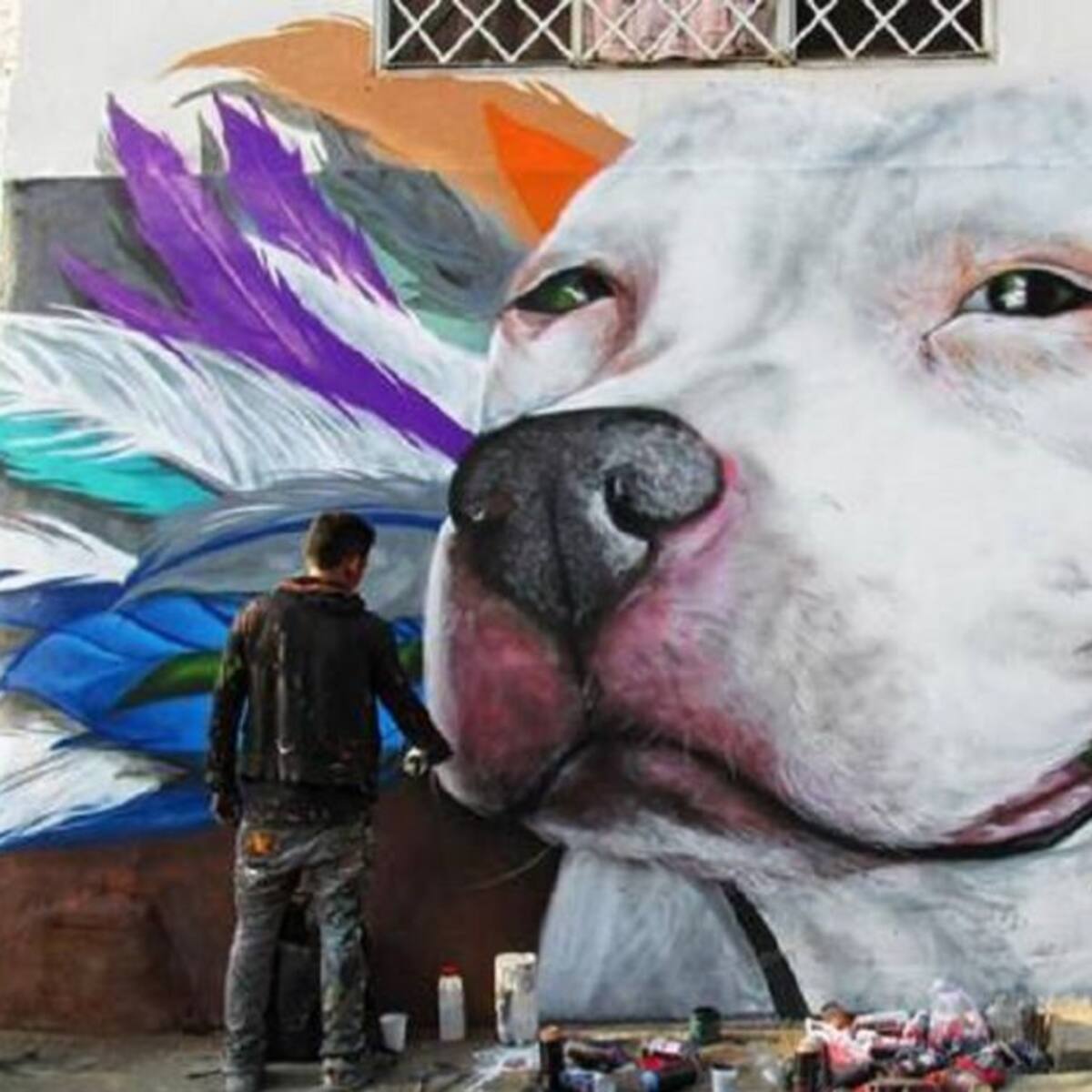 Hoy inicia el Festival Gráficalia, colores de vida