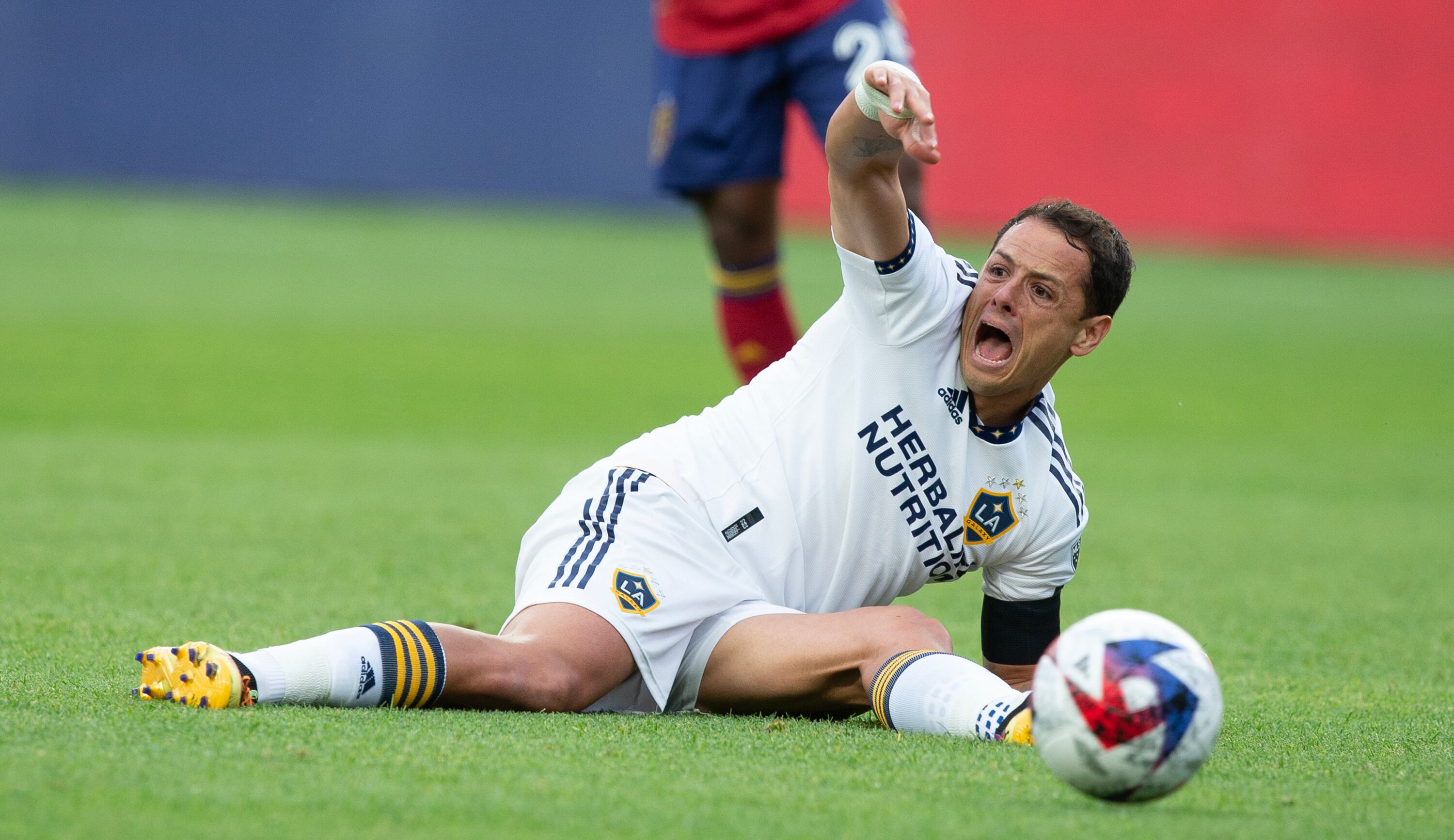 Javier Hernandez .(Photo by Chris Gardner/Getty Images)