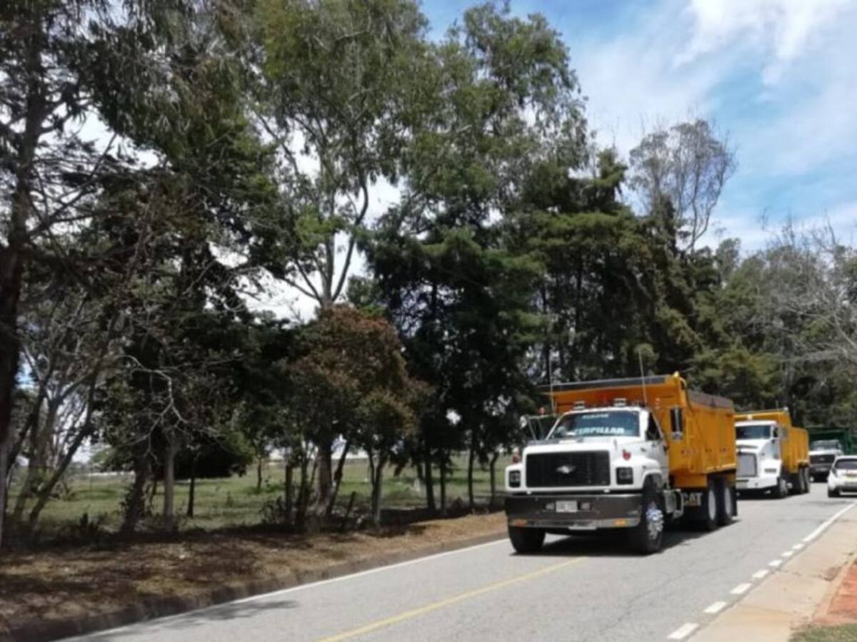 Tribunal ordena a granja solucionar malos olores en la Mesa de Los Santos