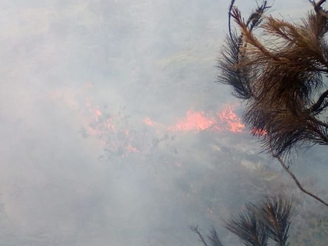 Incendio forestal en Tocotá, kilómetro 30 de la vía al mar