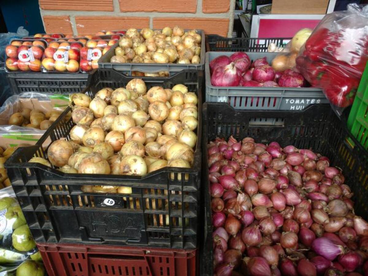 Alza en el dólar aún no afecta precio de frutas en Antioquia