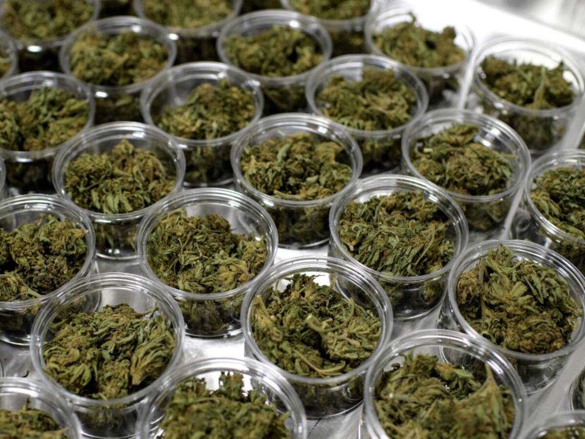 Consumo de cannabis y sedantes aumentó en el mundo durante pandemia: ONU