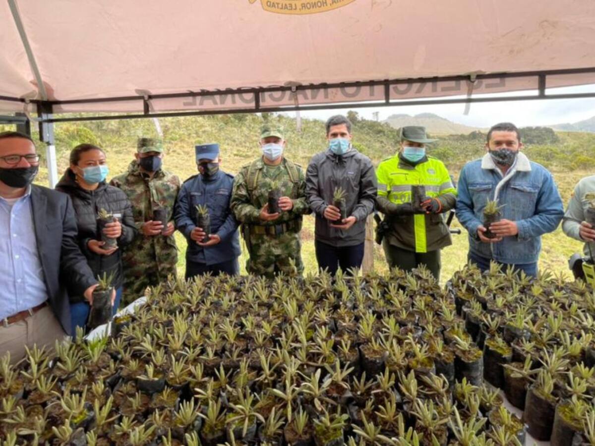 Compromisos por la protección del Parque Nacional Natural de los Nevados