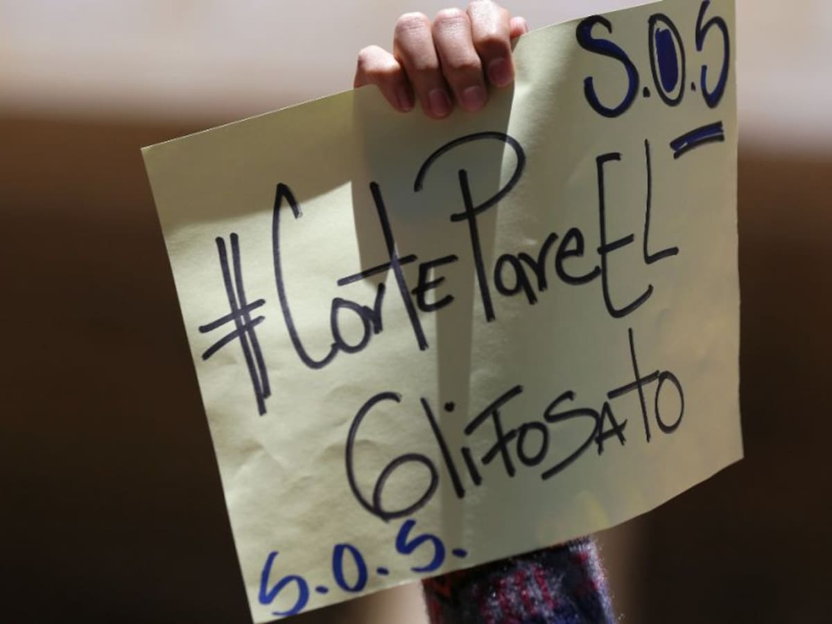 Comunidades campesinas celebran decisión de la Corte Constitucional