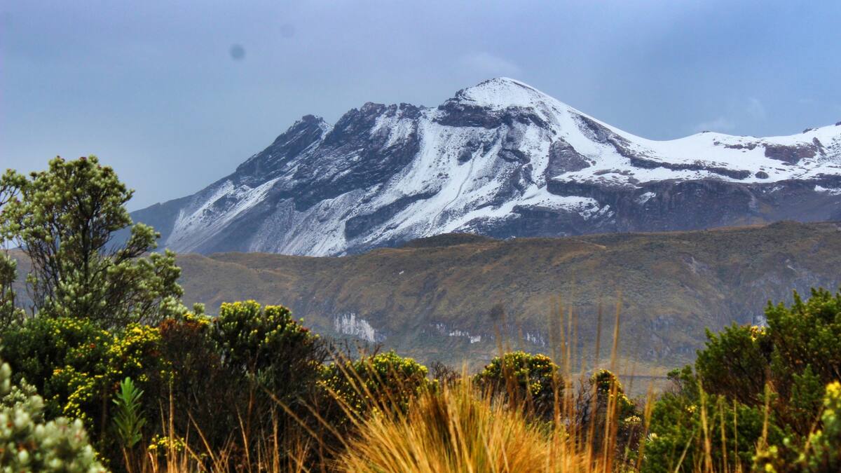 Piden al Gobierno Nacional suspender la compra de tierras en el Parque Los Nevados