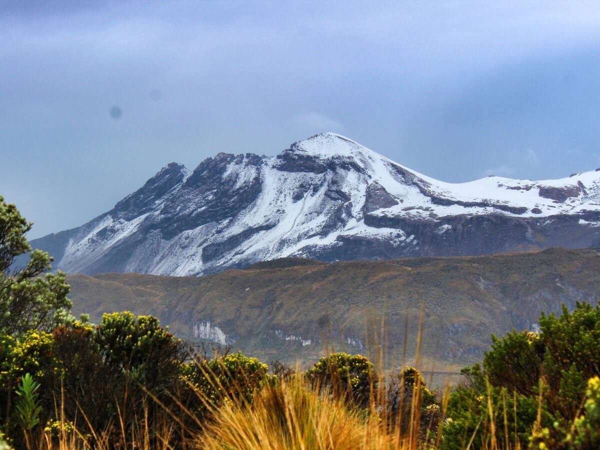 Piden al Gobierno Nacional suspender la compra de tierras en el Parque Los Nevados