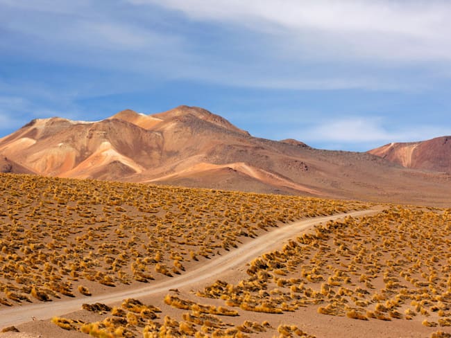 Desierto de Atacama, en Chile / Hoberman Collection/Universal Images Group via Getty Images)