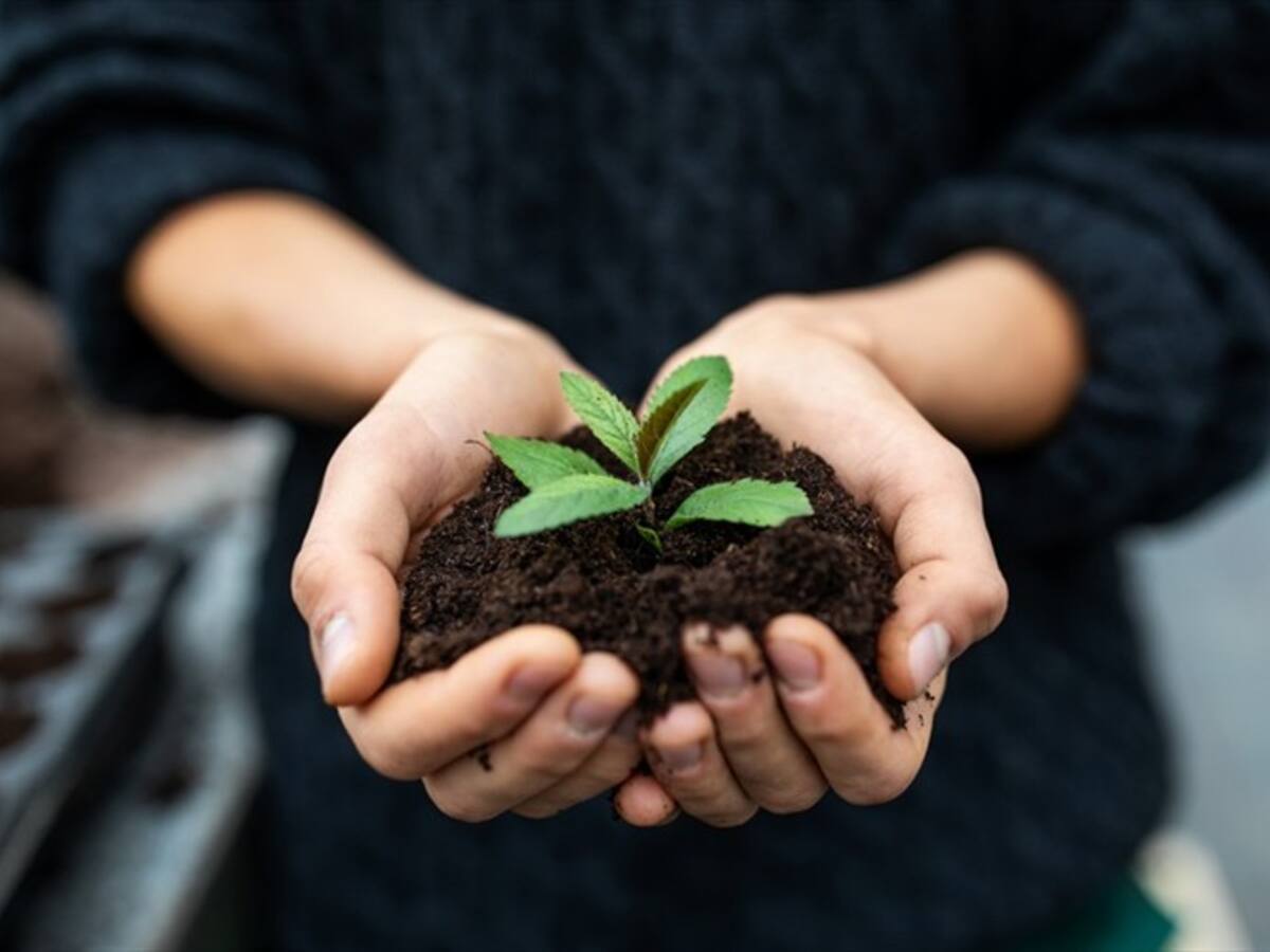 Cultivos agrícolas estarían afectando el medio ambiente en el norte de Antioquia