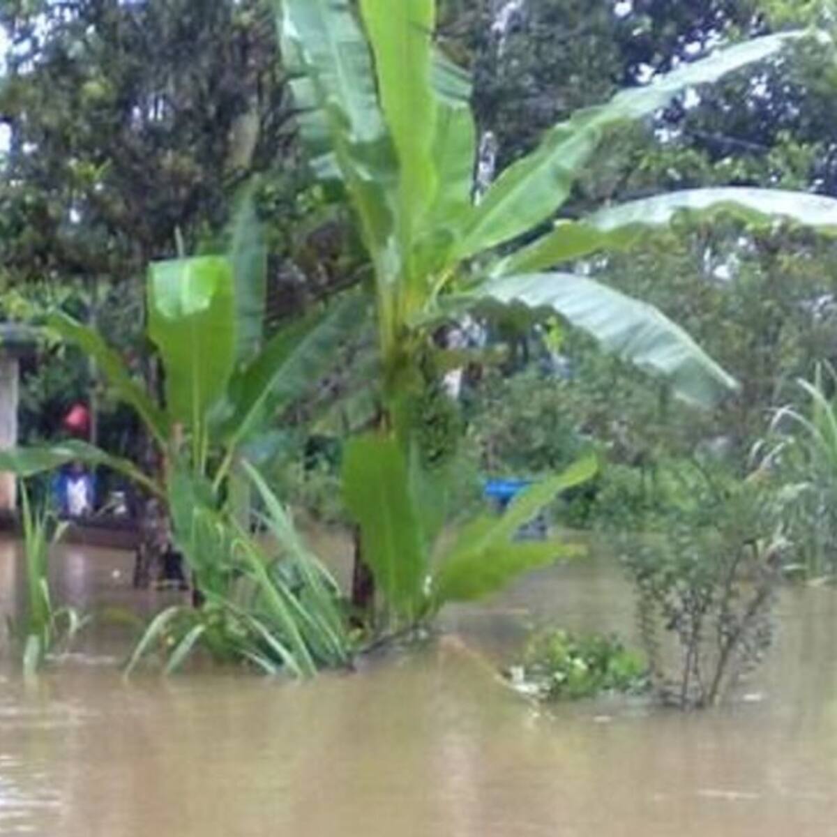 El invierno en el Valle del Cauca sigue causando graves afectaciones