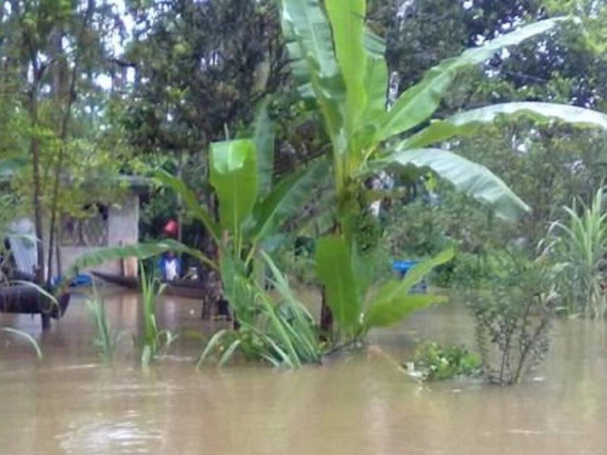 El invierno en el Valle del Cauca sigue causando graves afectaciones