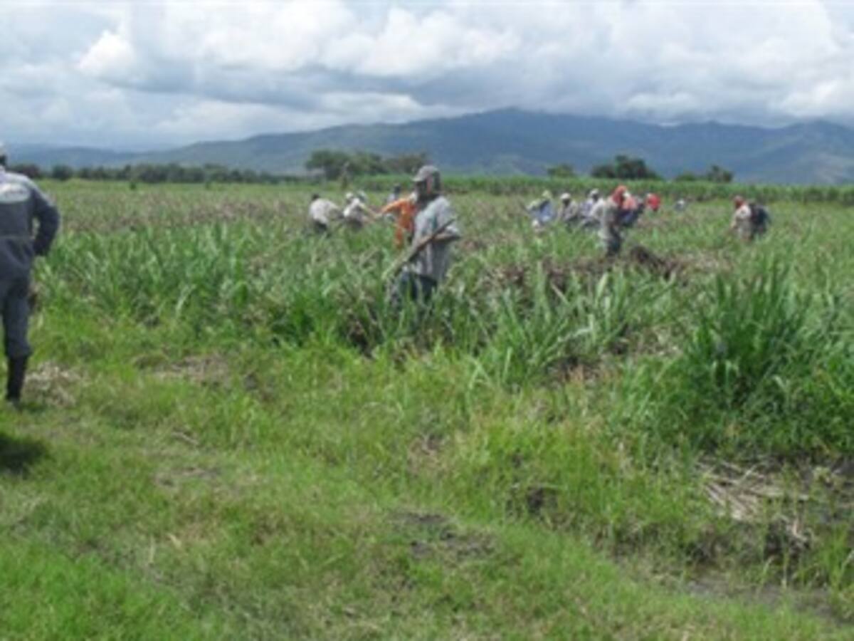 Demandarán a testaferros de hermanos Castaño para que devuelvan hacienda Santa Paula en Córdoba