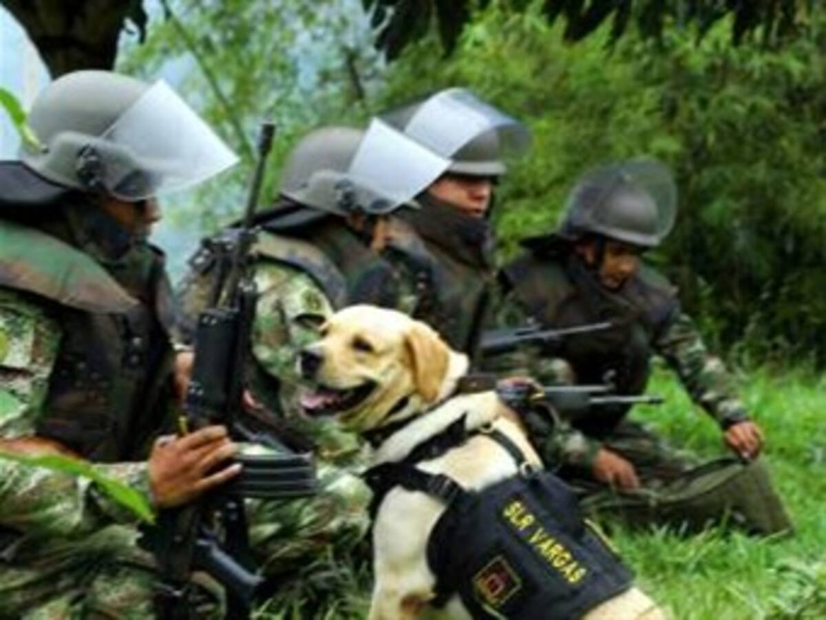 Colocar una mina antipersona tarda dos minutos. Desactivarla, ocho horas