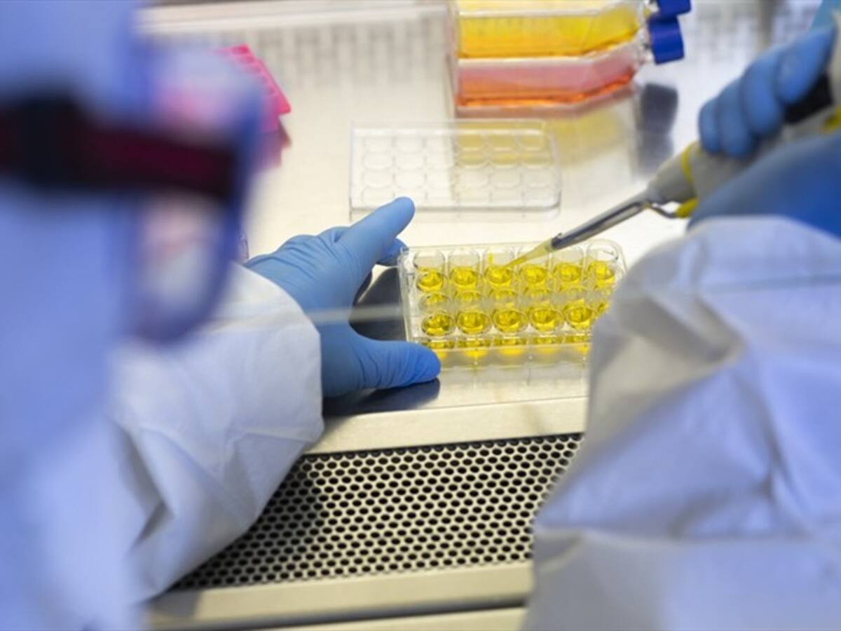 ¿El coronavirus fue creado en un laboratorio de China? Virólogo responde