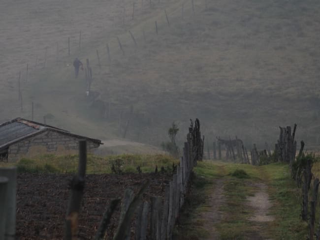 Heladas causan daños en cultivos de varias zonas de Colombia