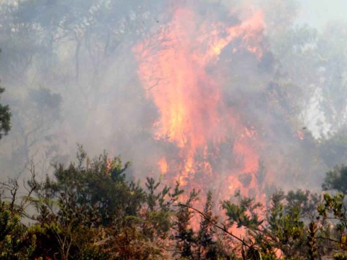 Alerta naranja en Soacha por incendios forestales