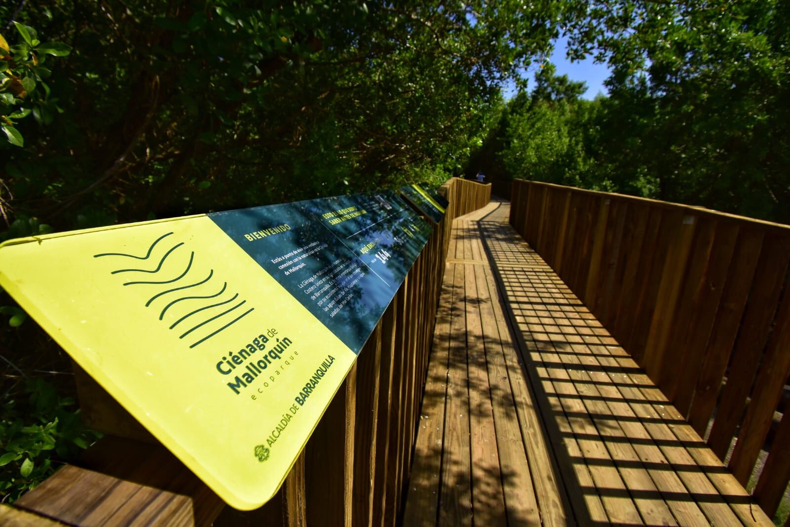 Senderos peatonales sobre la ciénaga de Mallorquín