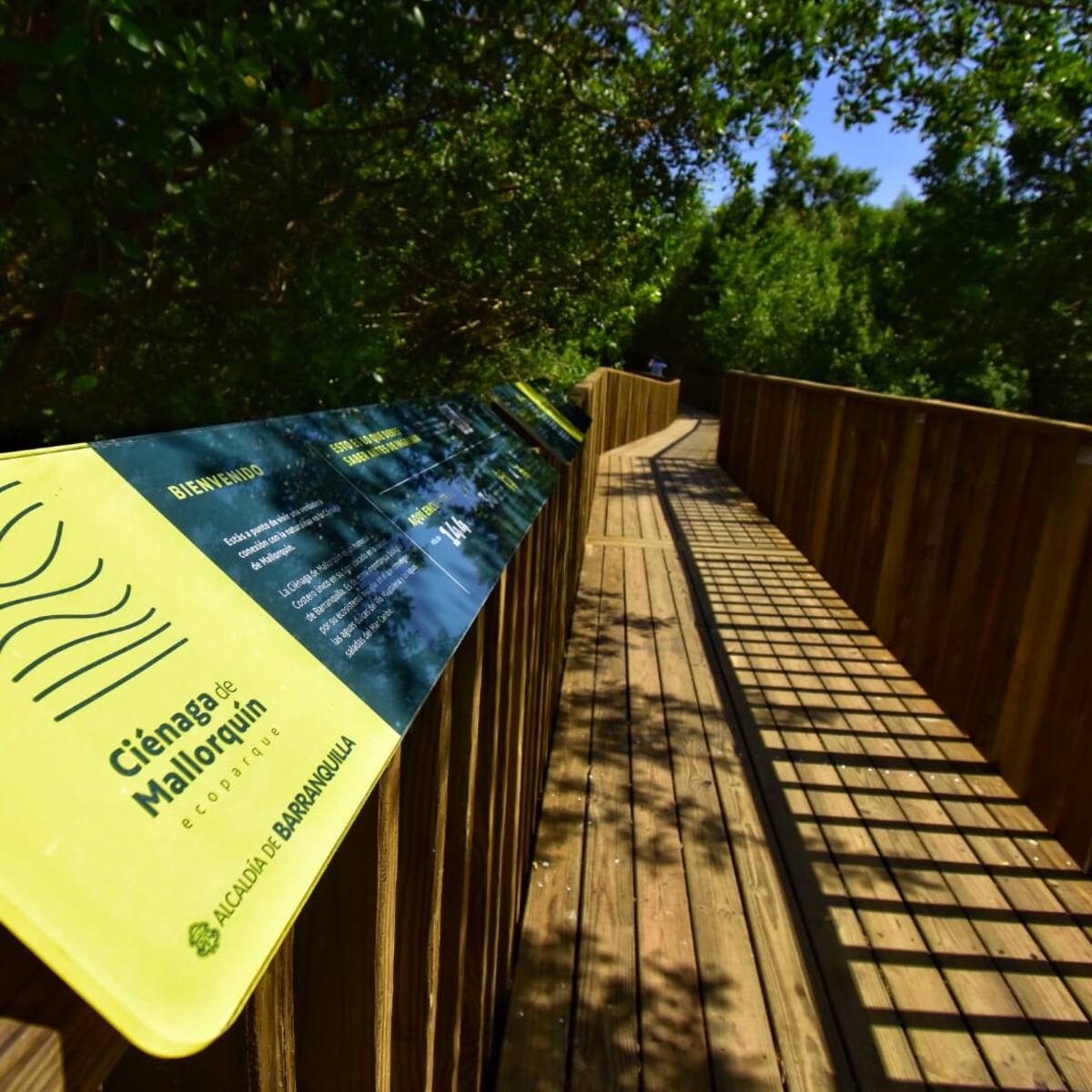 Ya están listos los primeros 500 metros de senderos en Mallorquín