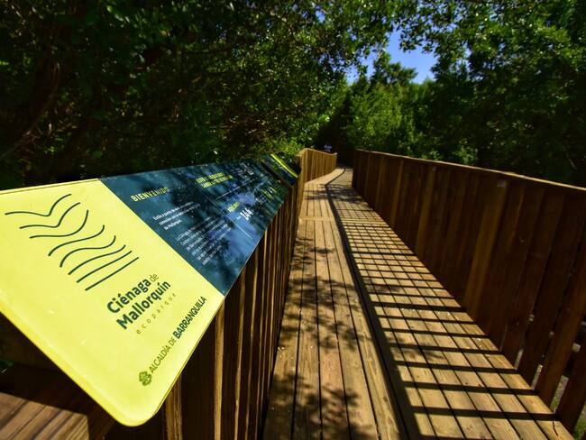 Senderos peatonales sobre la ciénaga de Mallorquín