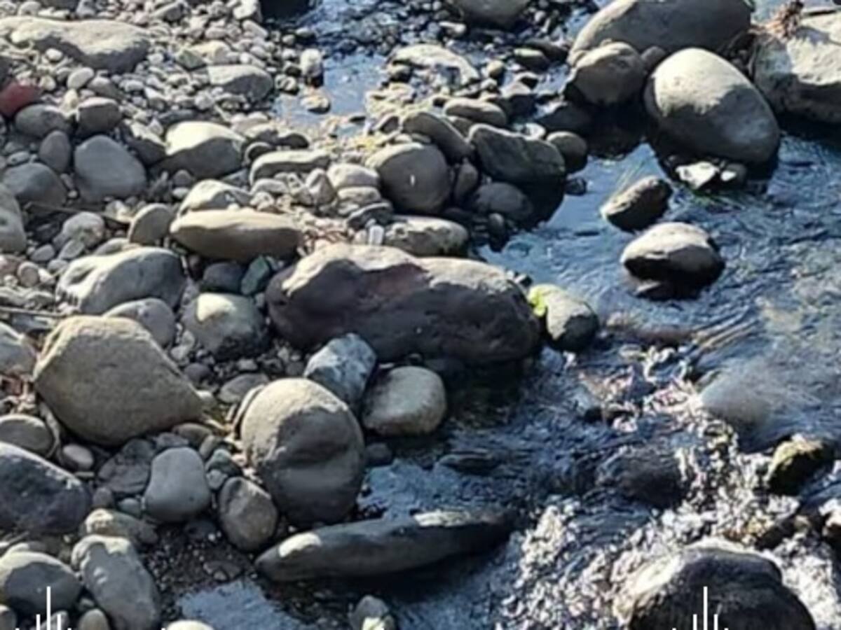 Continúa el racionamiento de agua de uso agrícola en zona rural del Quindío