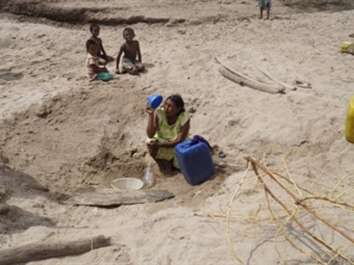 El drama de la sequía en la Guajira, Cesar y Magdalena (FOTOS)