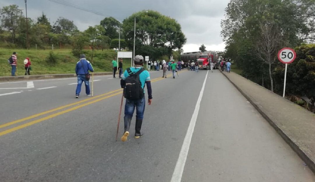 Imagen de referencia.