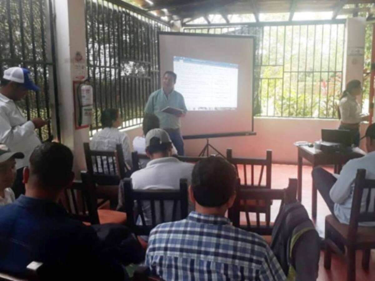 Bolívar cuenta con 33.750 hectáreas sembradas con palma de aceite