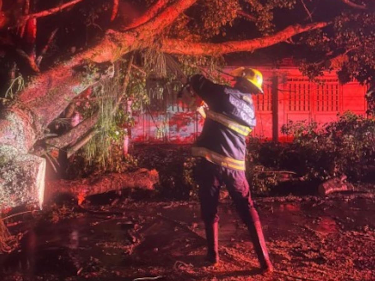 ¿Qué pasó con el servicio de energía en Ibagué?