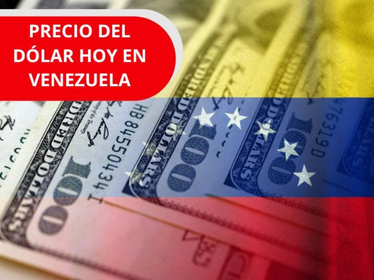 Precio del dólar en Venezuela para HOY viernes 6 de febrero: Cierra la semana con aumentos