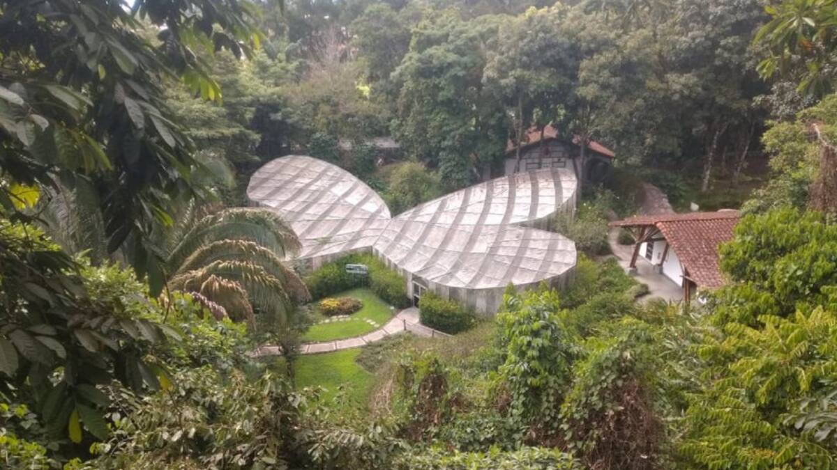 Todos podemos ayudar a preservar el Jardín Botánico del Quindío