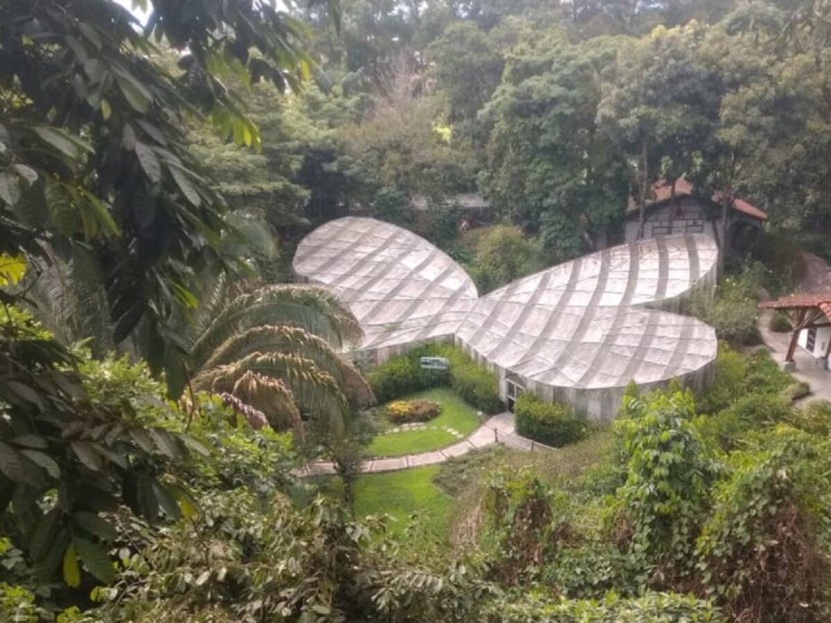 Todos podemos ayudar a preservar el Jardín Botánico del Quindío