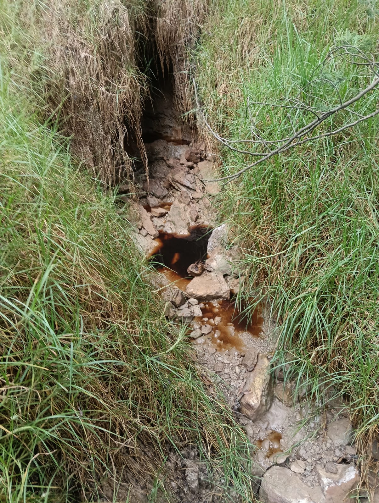 Concejales pide informes a autoridades y cuestionan reapertura sin garantías ambientales.