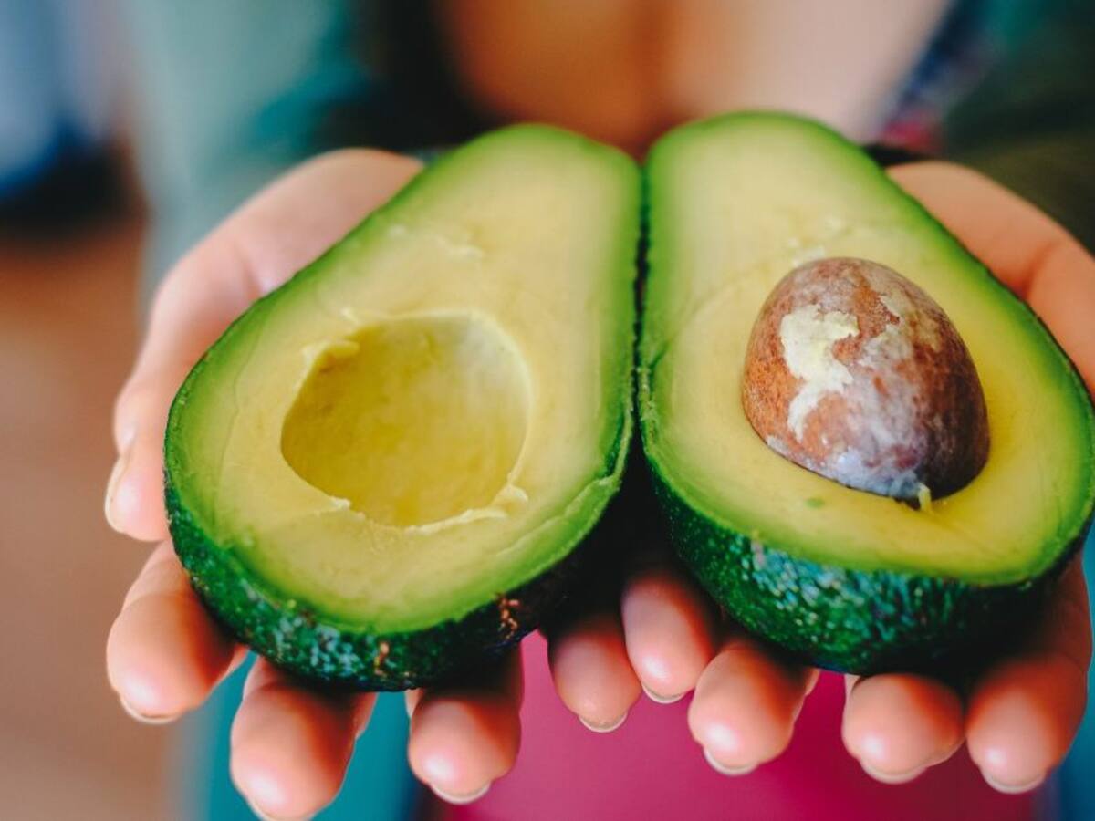 Conozca la parte más nutritiva del aguacate y sus beneficios para la salud