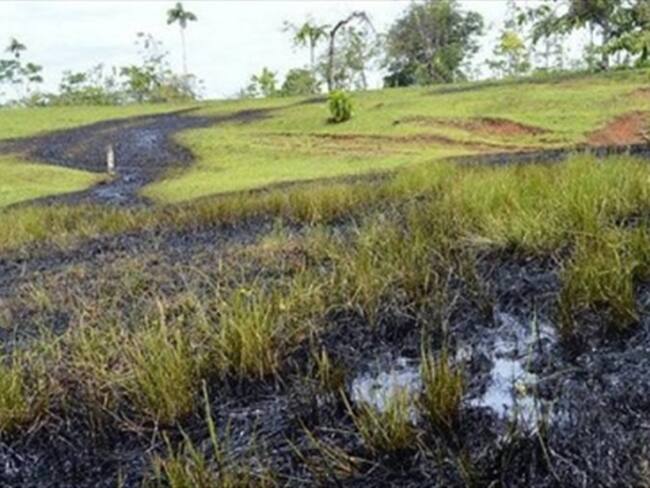 Organizaciones ambientales condenaron atentados contra el ambiente